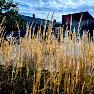 Meet your Posher, Denise